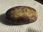 Pawpaw thumbnail