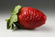 Strawberry 'Honeoye' thumbnail